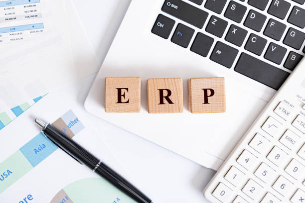 ERP word made with building blocks ERP-Business software