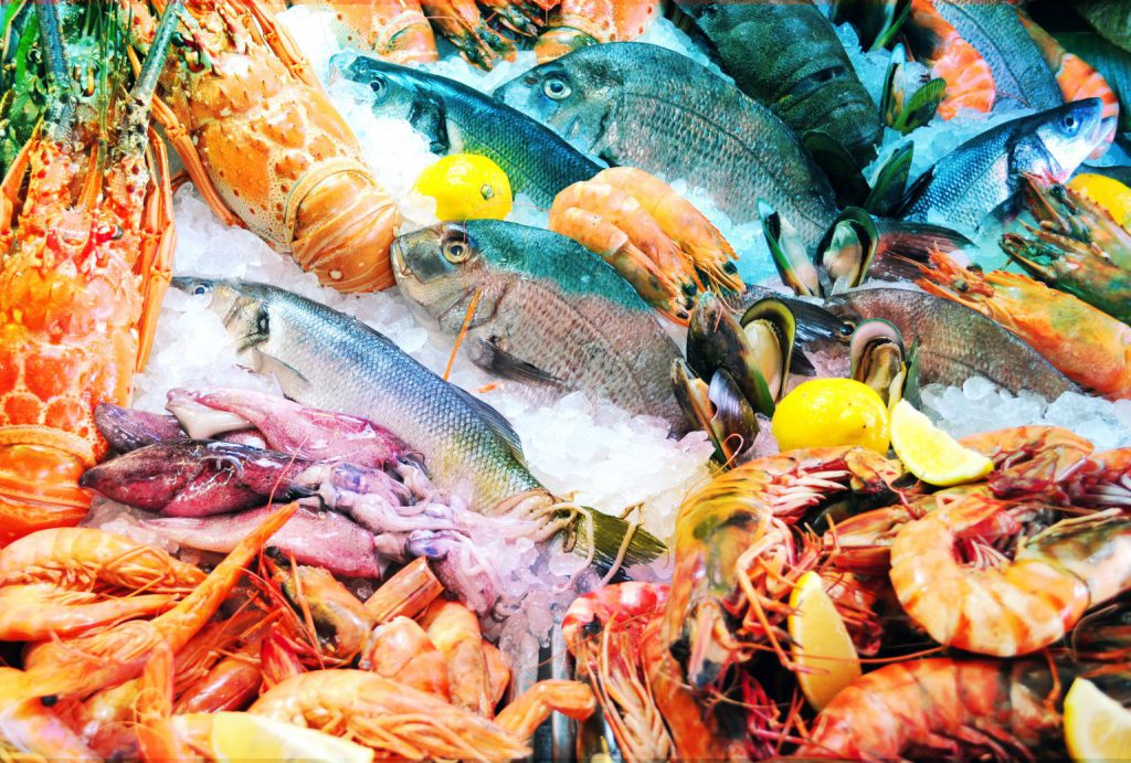freshfood02-1536x1036