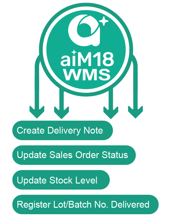WMS_flow_B_m